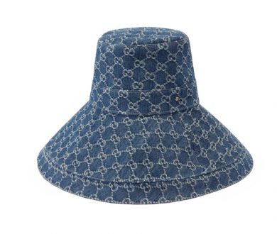 A hat with a brim