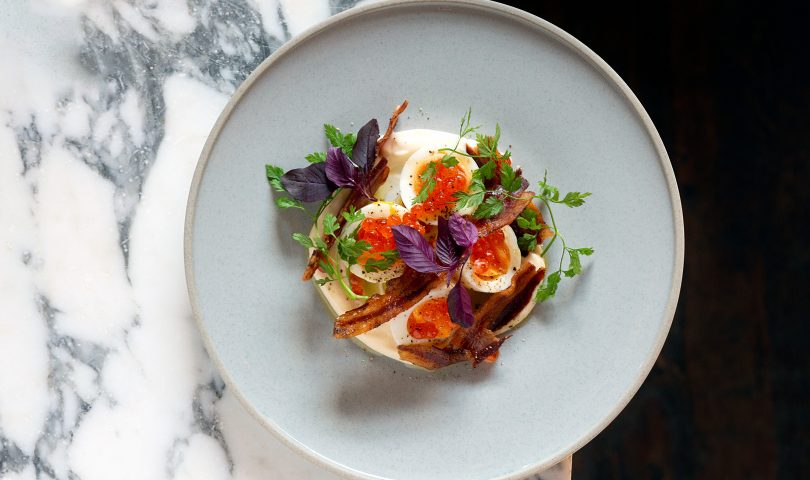 Meet Twiggy, the new bar and supper club bringing fresh fare and thoughtful tipples to Ponsonby