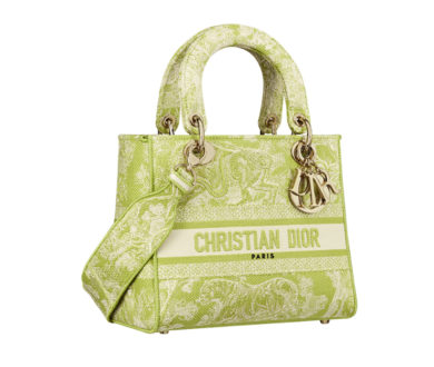 Christian Dior bag