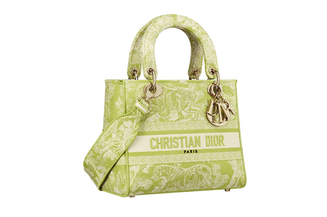 Christian Dior bag