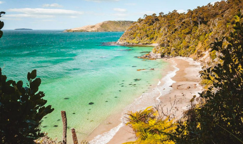 Parker & Co founder Lynne Parker shares an insider’s guide to Stewart Island