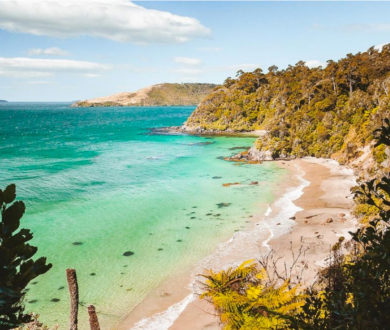 Parker & Co founder Lynne Parker shares an insider’s guide to Stewart Island