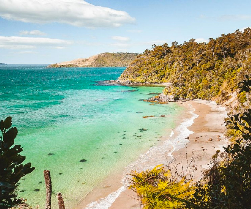 An insider's guide to Stewart Island Where to stay, eat and play