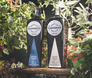 Gin lovers, this new limited-edition launch from Scapegrace is set to be a very special addition to your cabinet