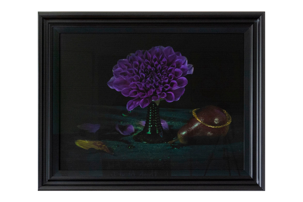 Dying Purple Dahlia & Pear by Fiona Pardington