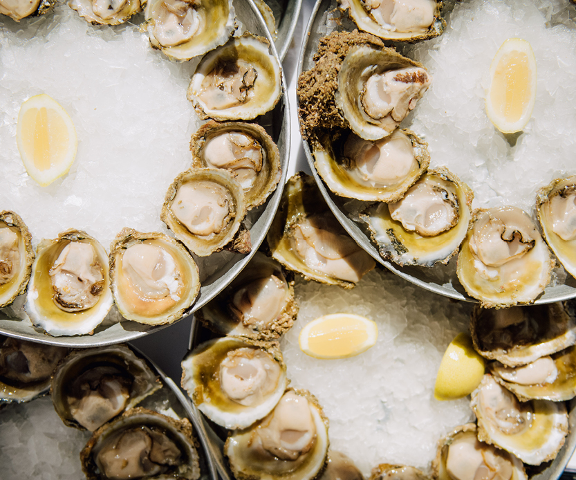 They're finally here — Celebrate the Bluff oyster season in style at