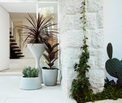 Here’s how to display your favourite pot plants like works of art