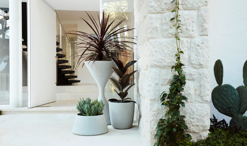 Here’s how to display your favourite pot plants like works of art