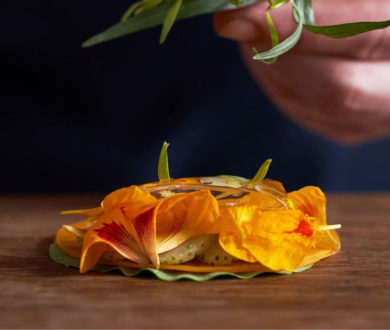 Vegetarians rejoice — Pasture is hosting a limited dinner series built entirely around vegetables