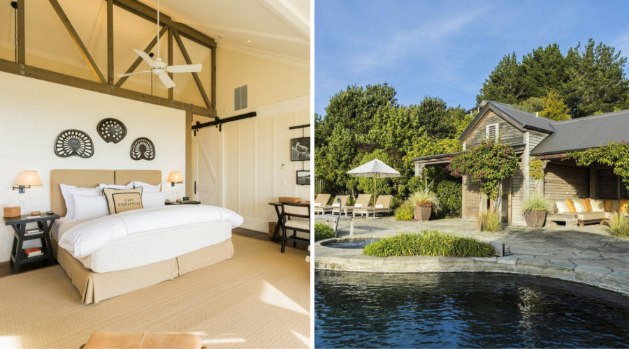 Denizen's guide to Hawke's Bay