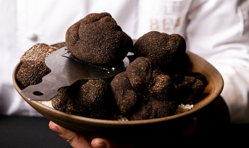 Celebrate truffle season with the tastiest and most decadent truffle dishes in town