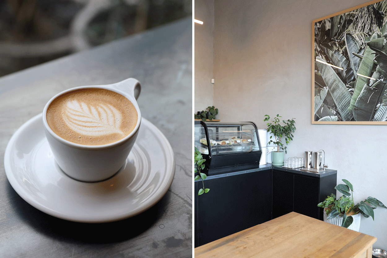 Cafe Perch is the cool new Freeman's Bay coffee shop to try