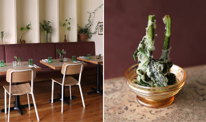Your first look at the new Forest — Plabita Florence’s intriguing, plant-based restaurant is back and better than ever