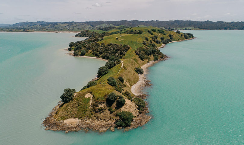 Escape the city and reconnect with nature with our guide to the best walks and hikes around Auckland