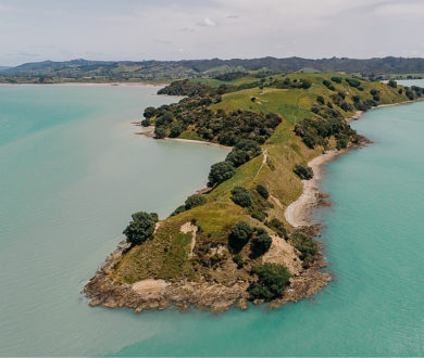 Escape the city and reconnect with nature with our guide to the best walks and hikes around Auckland