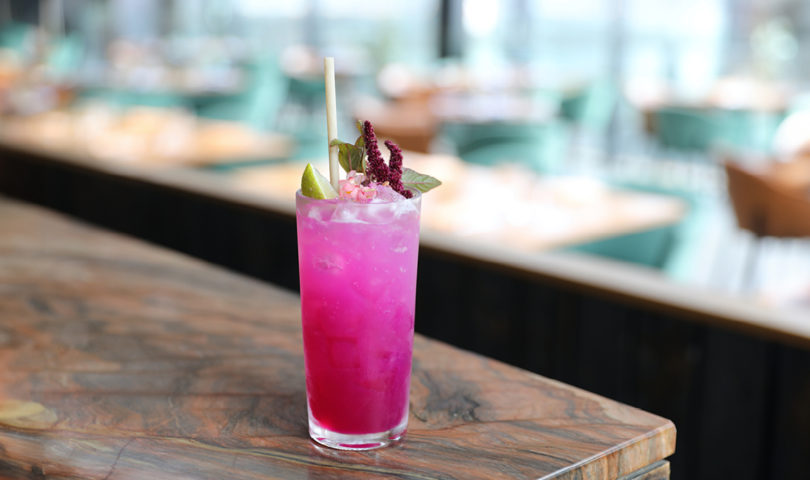 Ahi is raising the bar with the introduction of its new, alcohol-free wild sodas