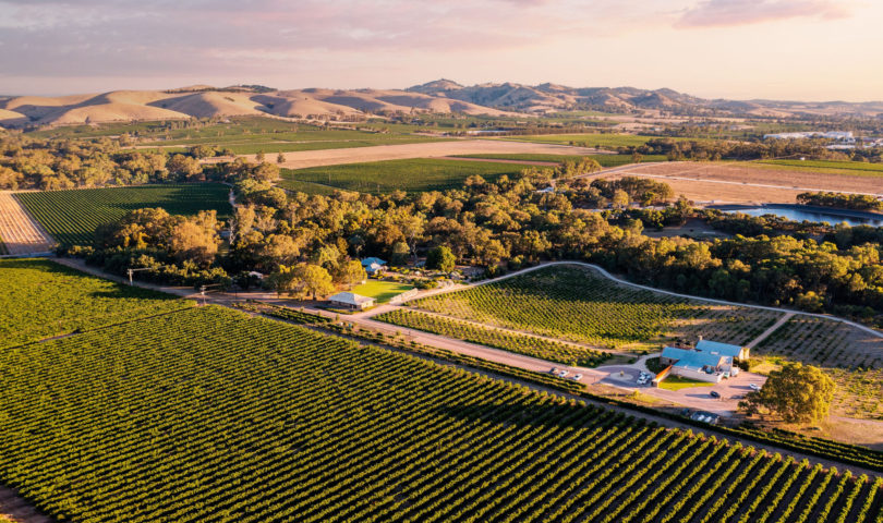 “I’ll have the Barossa, thanks” — There’s a secret menu at Esther this month. Here’s what you need to know