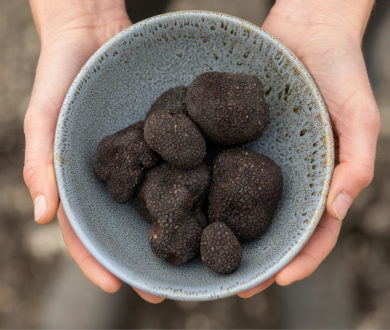 Unearth the magic of the season with a truffle hunt at Kings Truffles