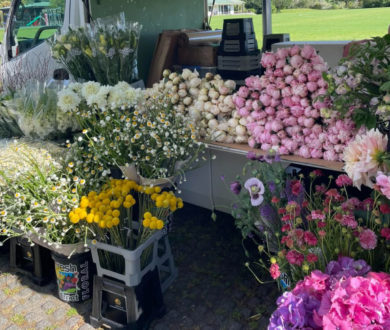 How the Local Community Saved Our Favourite Florist