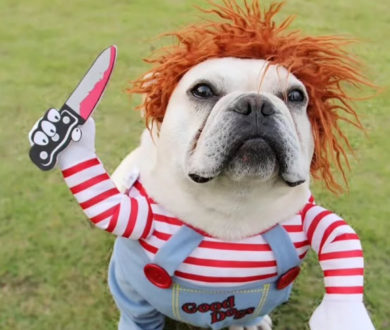 Who let the dogs out? Unleash your beasts in appropriately wild attire