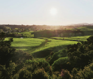 The future of luxury sustainable living resides at Mangawhai Hills