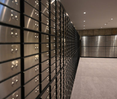 Meet Commonwealth Vault, the modern fortress safeguarding your data and your wealth