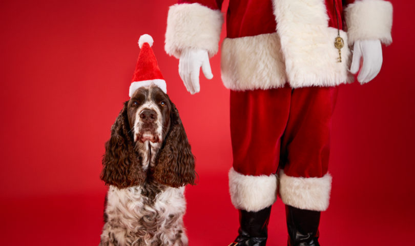 It’s silly season! The Denizen’s ultimate guide to your cultural calendar this December