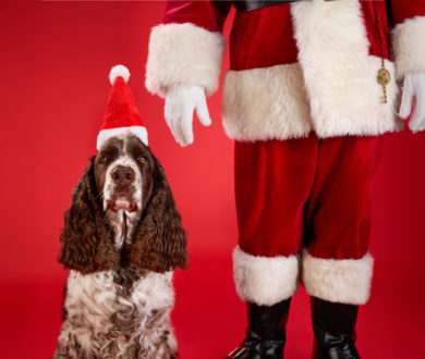 It’s silly season! The Denizen’s ultimate guide to your cultural calendar this December