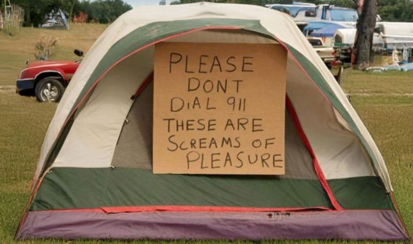 Chaos under a canopy: A cautionary tale of summer camping trips… with children