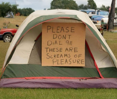 Chaos under a canopy: A cautionary tale of summer camping trips… with children