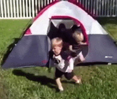 Chaos under a canopy: A cautionary tale of summer camping trips… with children