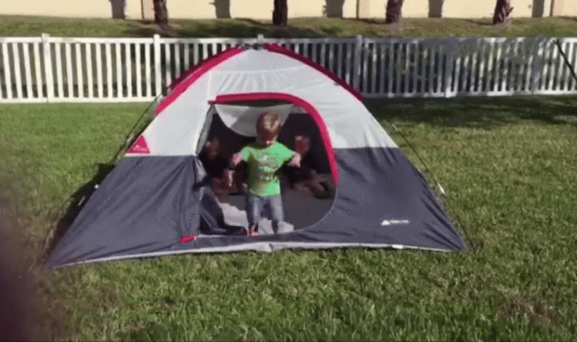 Chaos under a canopy: A cautionary tale of summer camping trips… with children