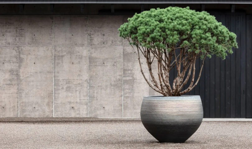 With their sculptural form, these planters add architectural presence to every setting