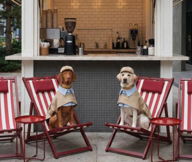 Denizen’s definitive guide to the best dog-friendly eateries in Auckland
