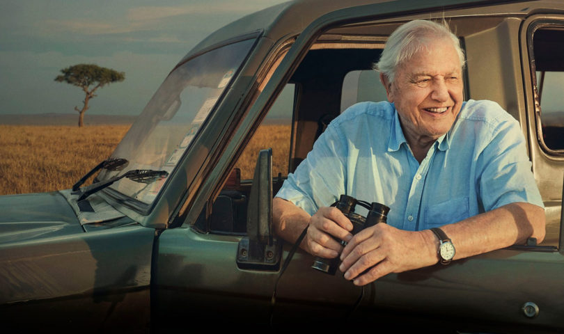 One of the world’s greatest humans, Sir David Attenborough, turns 100 today